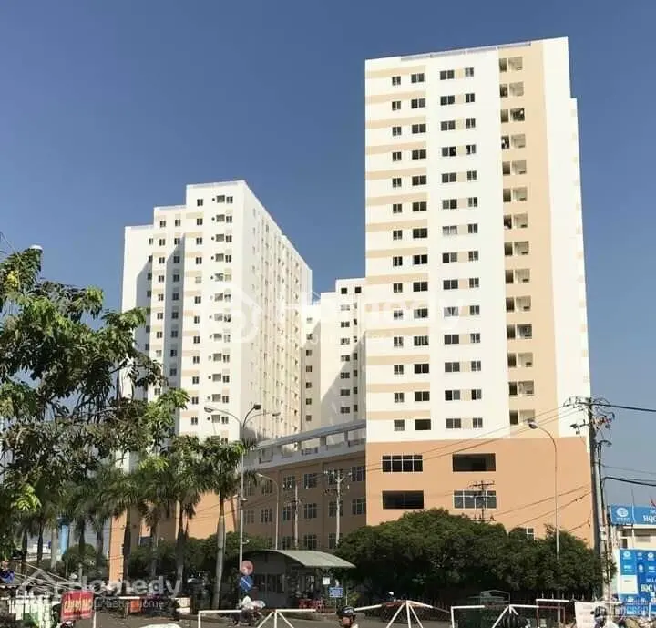 6037187 ảnh đại diện 1