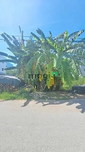 6037304 ảnh đại diện 1