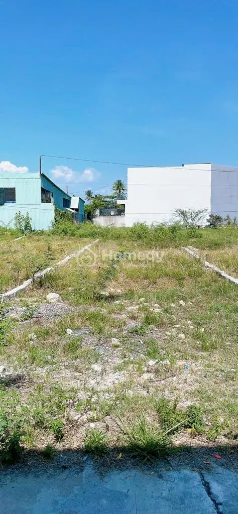 6037003 ảnh đại diện 1