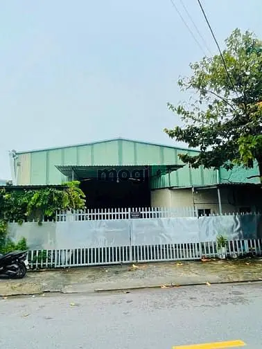 6037002 ảnh đại diện 1