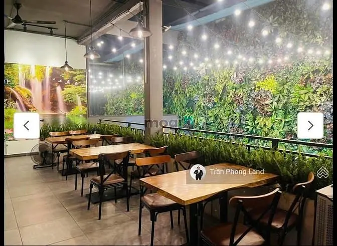 6037319 ảnh đại diện 1