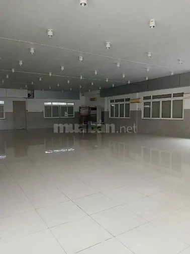 6037391 ảnh đại diện 1