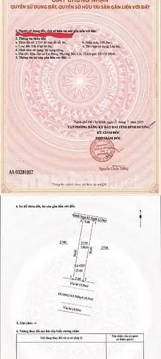 6037331 ảnh đại diện 1