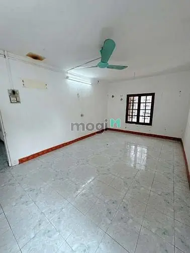 6037378 ảnh đại diện 1