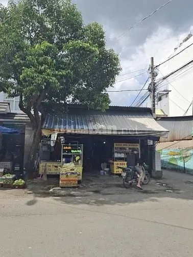 6037070 ảnh đại diện 1