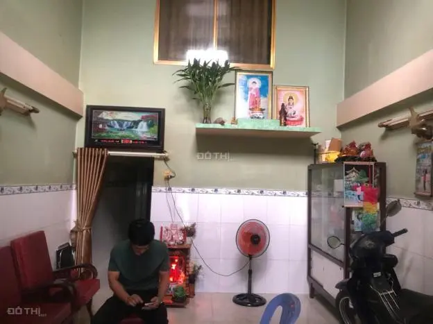 6037177 ảnh đại diện 1