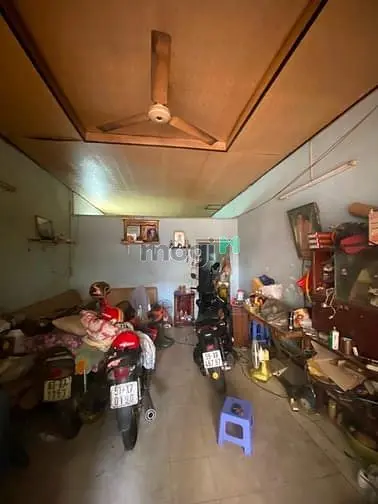 6037397 ảnh đại diện 1