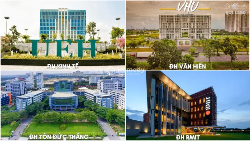 6037807 ảnh đại diện 1