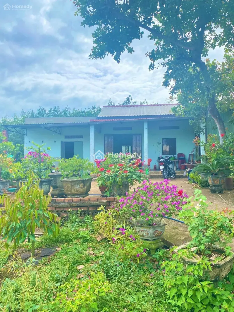6037672 ảnh đại diện 1