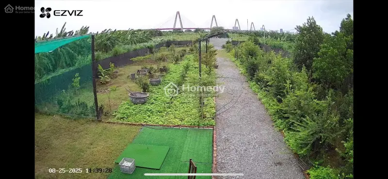 6037798 ảnh đại diện 1