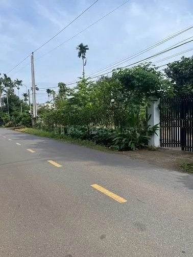 6037706 ảnh đại diện 1