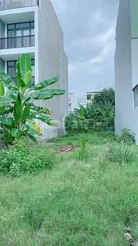 6037654 ảnh đại diện 1