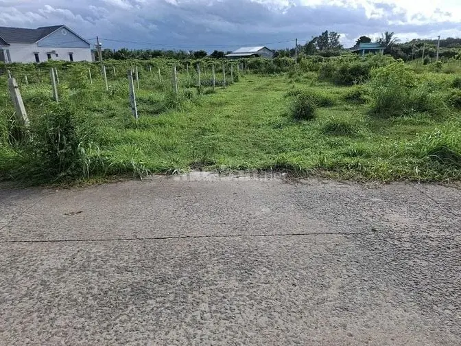 6037583 ảnh đại diện 1