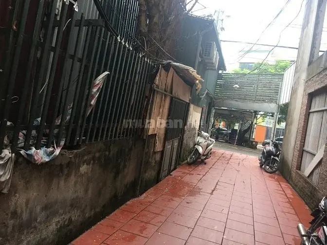 6037767 ảnh đại diện 1