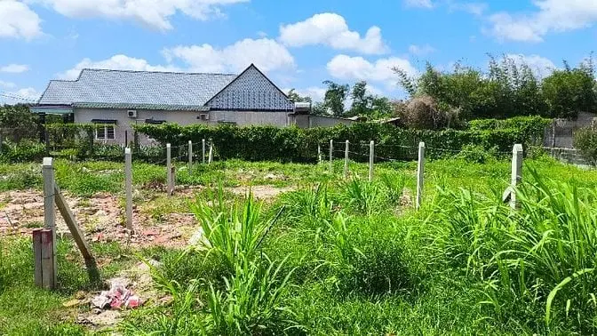 Đất Thổ Cư Mt Đường Nhựa Giá Đầu Tư Siêu Hời