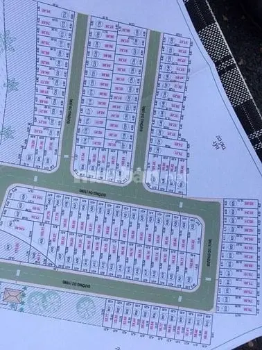 6037663 ảnh đại diện 1