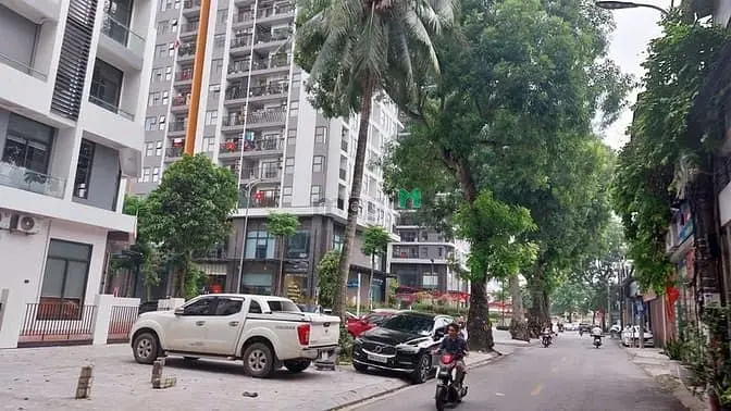 6037532 ảnh đại diện 1