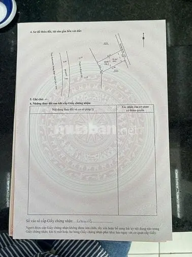 6037620 ảnh đại diện 1