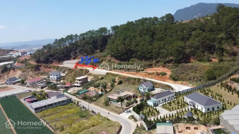 6037590 ảnh đại diện 1