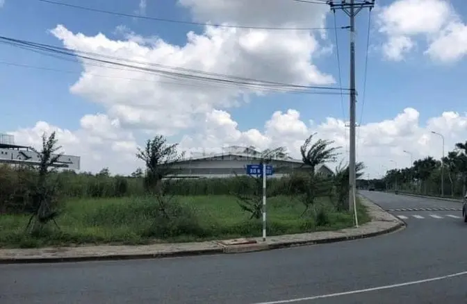6037758 ảnh đại diện 1