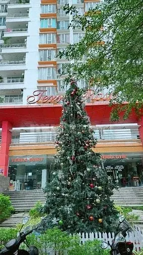 Chính Chủ Cho Thuê Ch Terra Rosa 80M2 - 2 Pn Giá 7 Triệu / Tháng