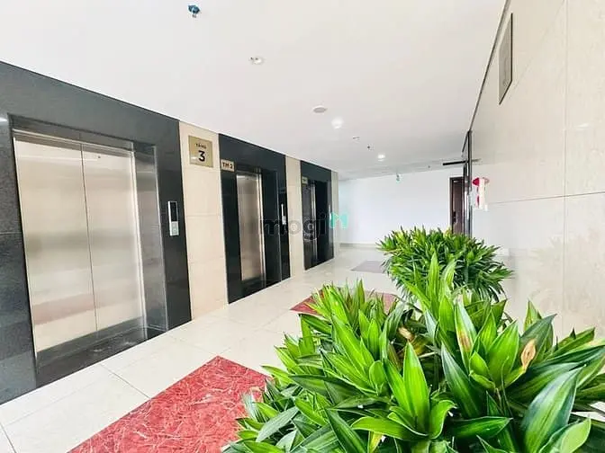 6037845 ảnh đại diện 1