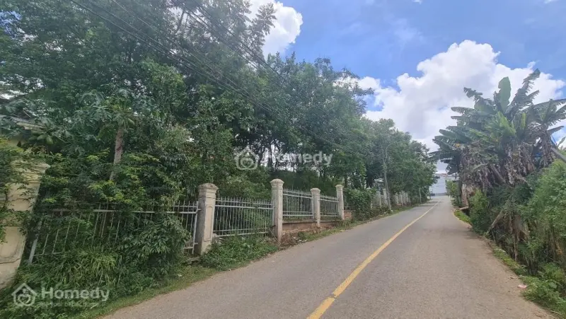 6037592 ảnh đại diện 1