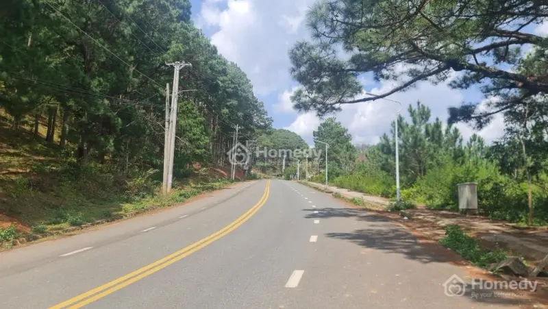 6037589 ảnh đại diện 1
