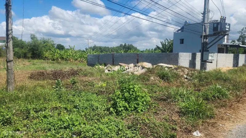 21X49(1000M2) Lê Văn Tám Tân An Lagi Giá Cực Rẻ Chỉ 4,2Tr/M2