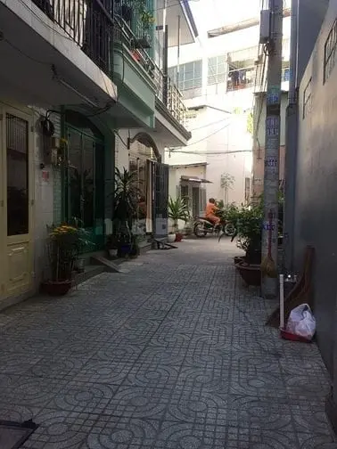 6037744 ảnh đại diện 1