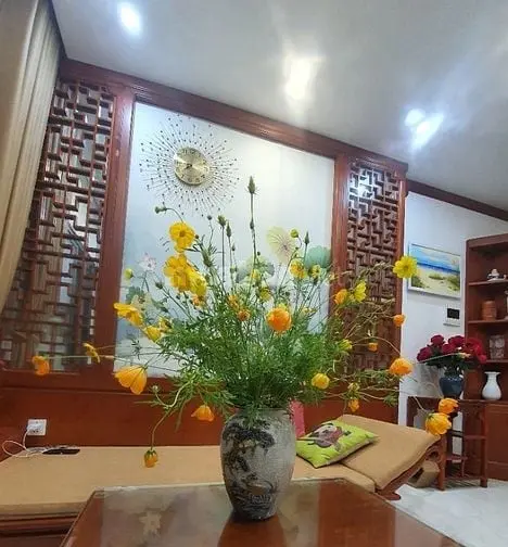 6037834 ảnh đại diện 1