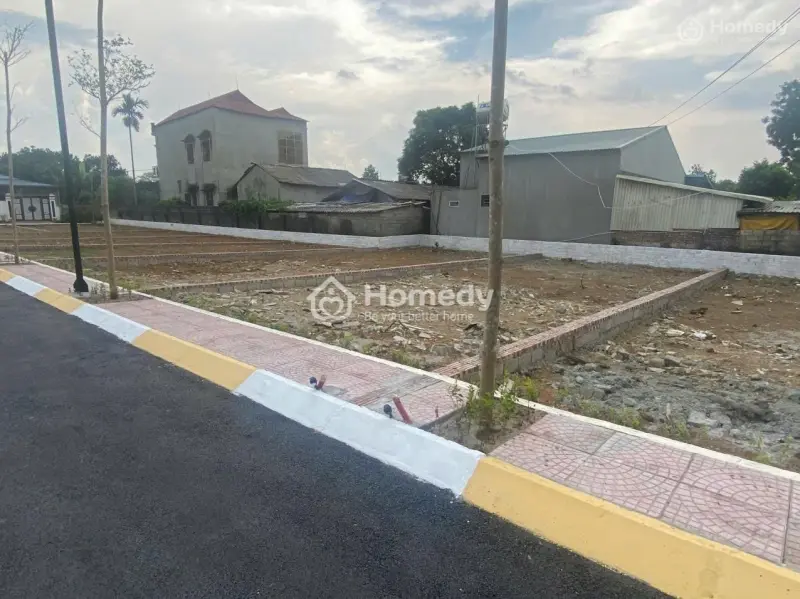 6037631 ảnh đại diện 1