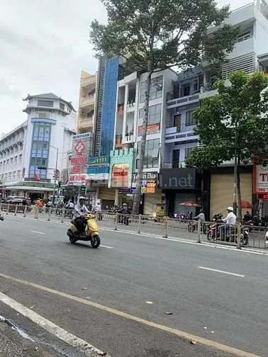 6037637 ảnh đại diện 1