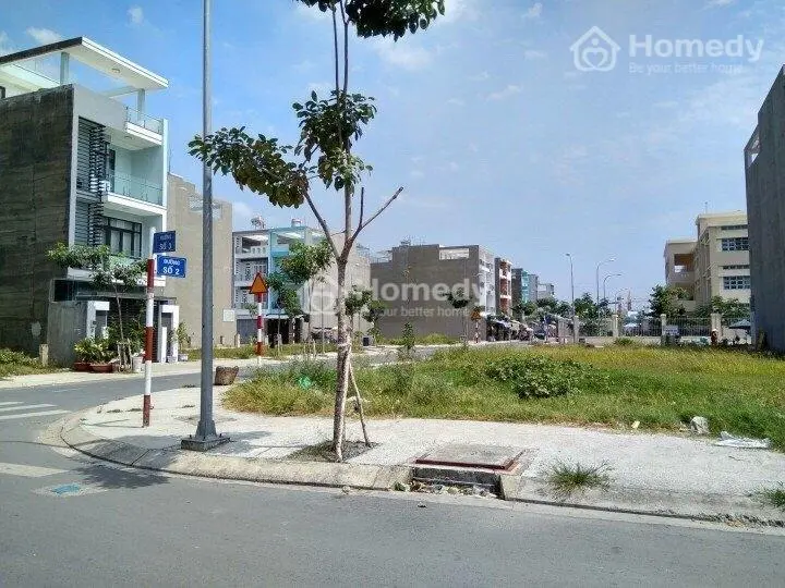 6037659 ảnh đại diện 1