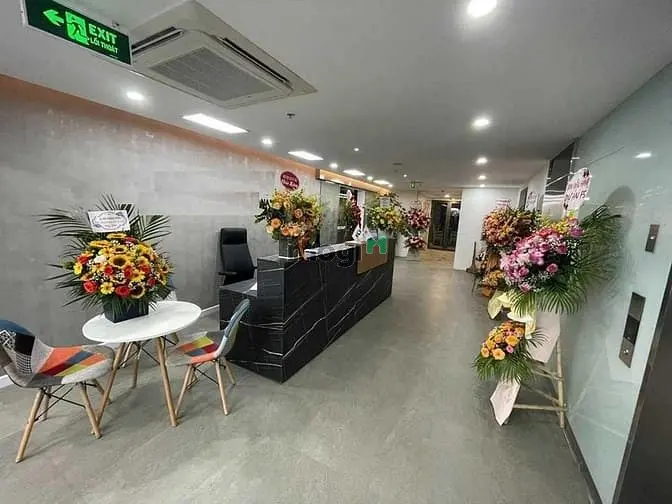 6037874 ảnh đại diện 1