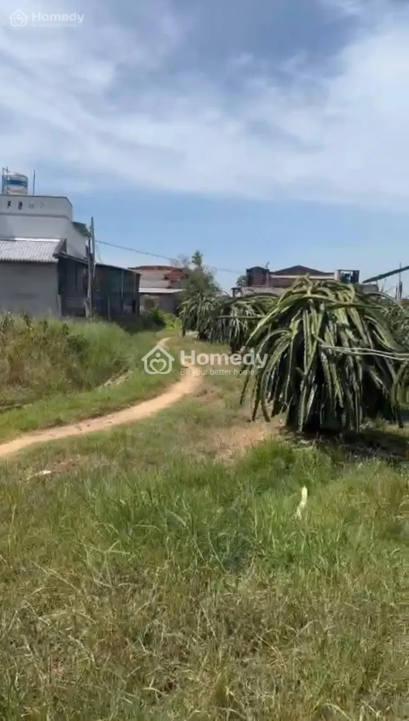 Bán 1.1 Sào Đất Tân Hải - Tx Lagi Giá Ngộp Chỉ 750 Triệu Chính Chủ