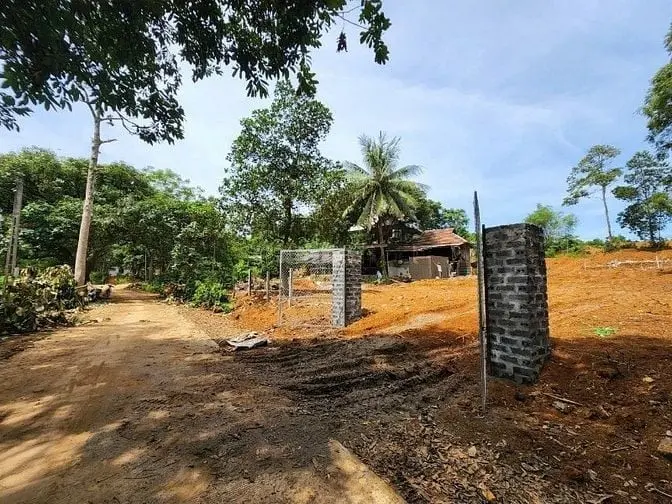 6037851 ảnh đại diện 1