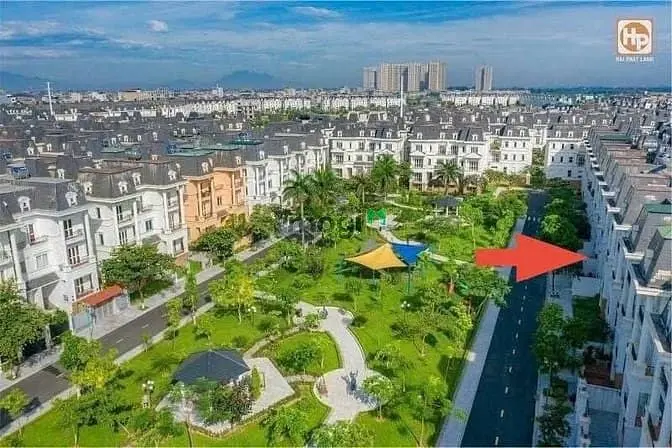 6037738 ảnh đại diện 1