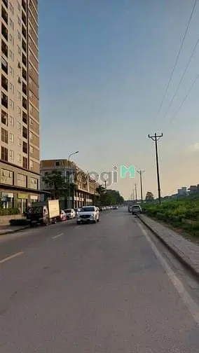 6037533 ảnh đại diện 1