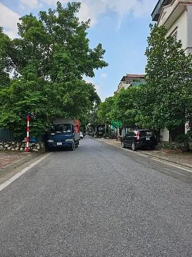 6037524 ảnh đại diện 1