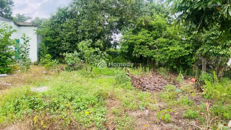 6038008 ảnh đại diện 1