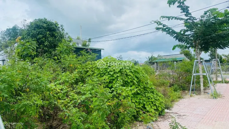 6038007 ảnh đại diện 1
