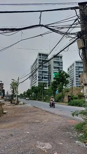 6037962 ảnh đại diện 1