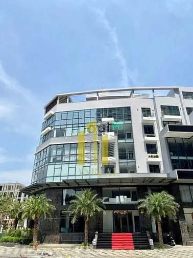 6037912 ảnh đại diện 1