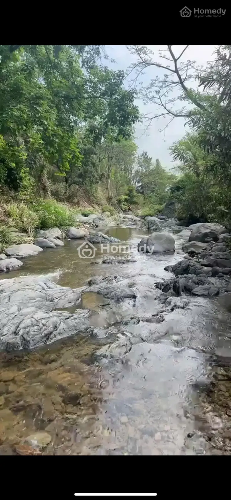 6038149 ảnh đại diện 1