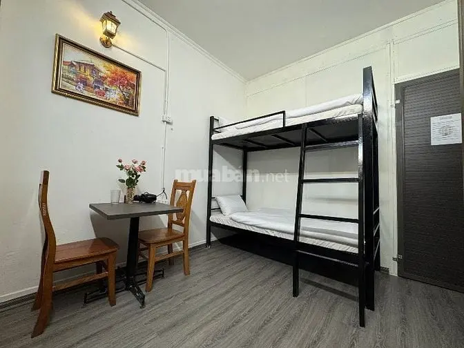 Căn Hộ Xem Duyệt Binh Ngày 2/9 Vị Trí Đẹp Gần Phố Cổ - Văn Miếu Oto Đỗ