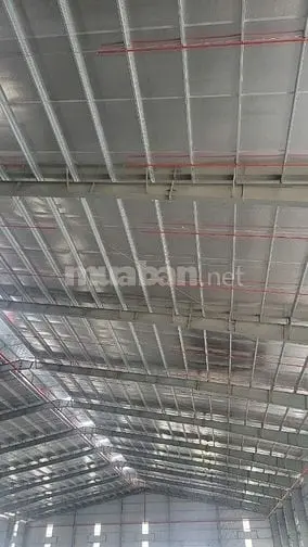 6037991 ảnh đại diện 1
