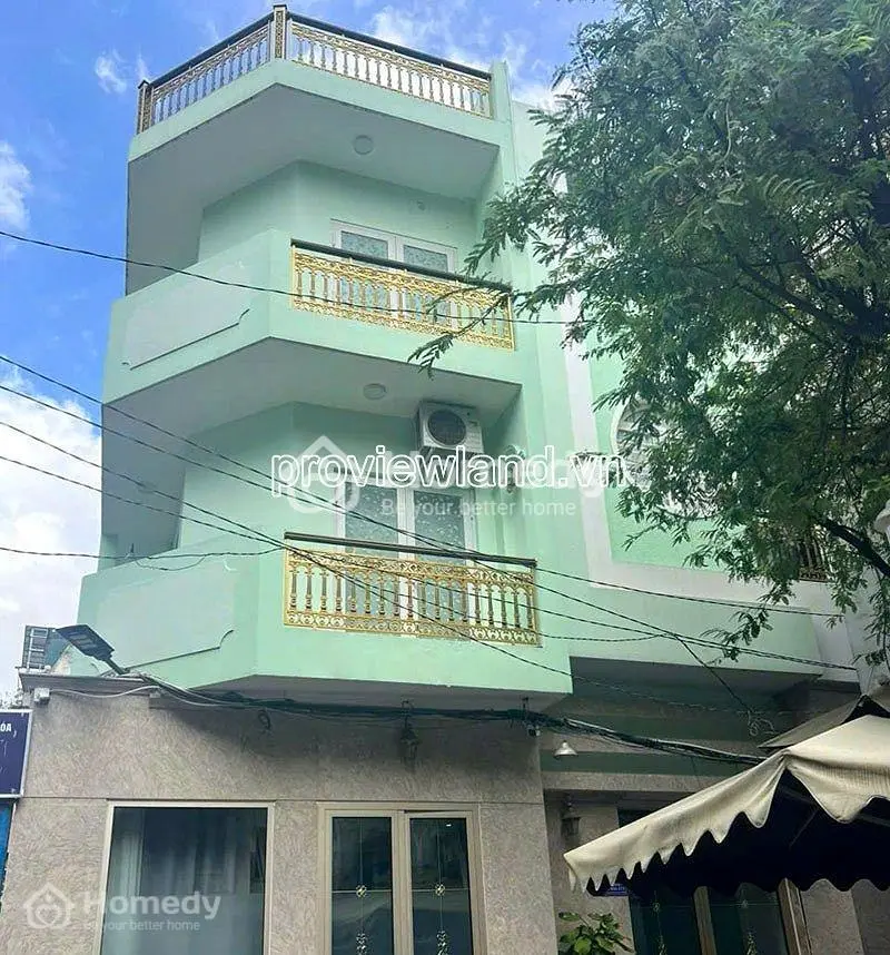 6038026 ảnh đại diện 1