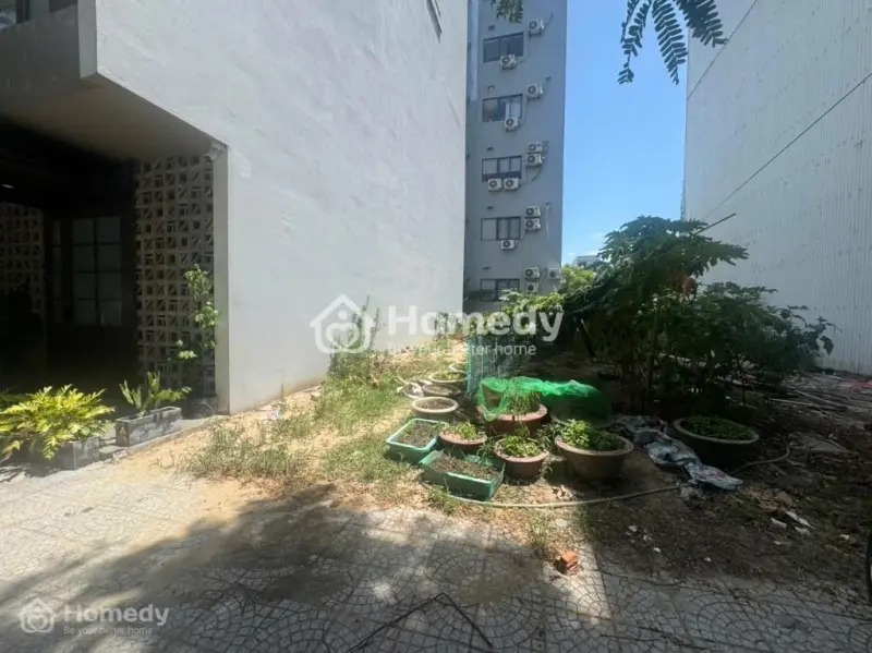 6038070 ảnh đại diện 1