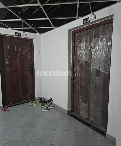 6037928 ảnh đại diện 1